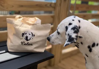 お散歩だけでなく、普段使いや犬友さんへのプレゼントにも最適です。