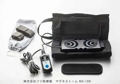 マグネストーム MS-100