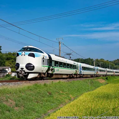 走行するパンダくろしお