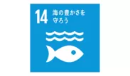 SDGs対応　海の豊かさを守ろう