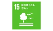 SDGs対応　森の豊かさも守ろう