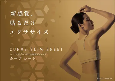 CURVE SHEET_image_02