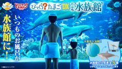 「びっくらたまご」20周年を記念して2002年に発売した海の生き物たちが進化して登場！