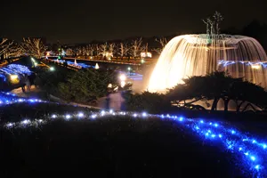 昭和記念公園のイルミネーションといえば、大噴水のライトアップ。圧巻のスケールで水面を照らし出します。清らかな水のながれが煌めき、幻想的な光景です。