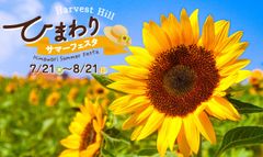 ひまわりサマーフェスタ バナー
