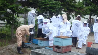 はちみつ採蜜体験