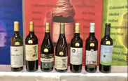 アルバリーニョ品種のワインが初受賞したことで注目を集めた欧州系品種 白 部門の受賞ワイン