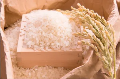 多古米イメージ