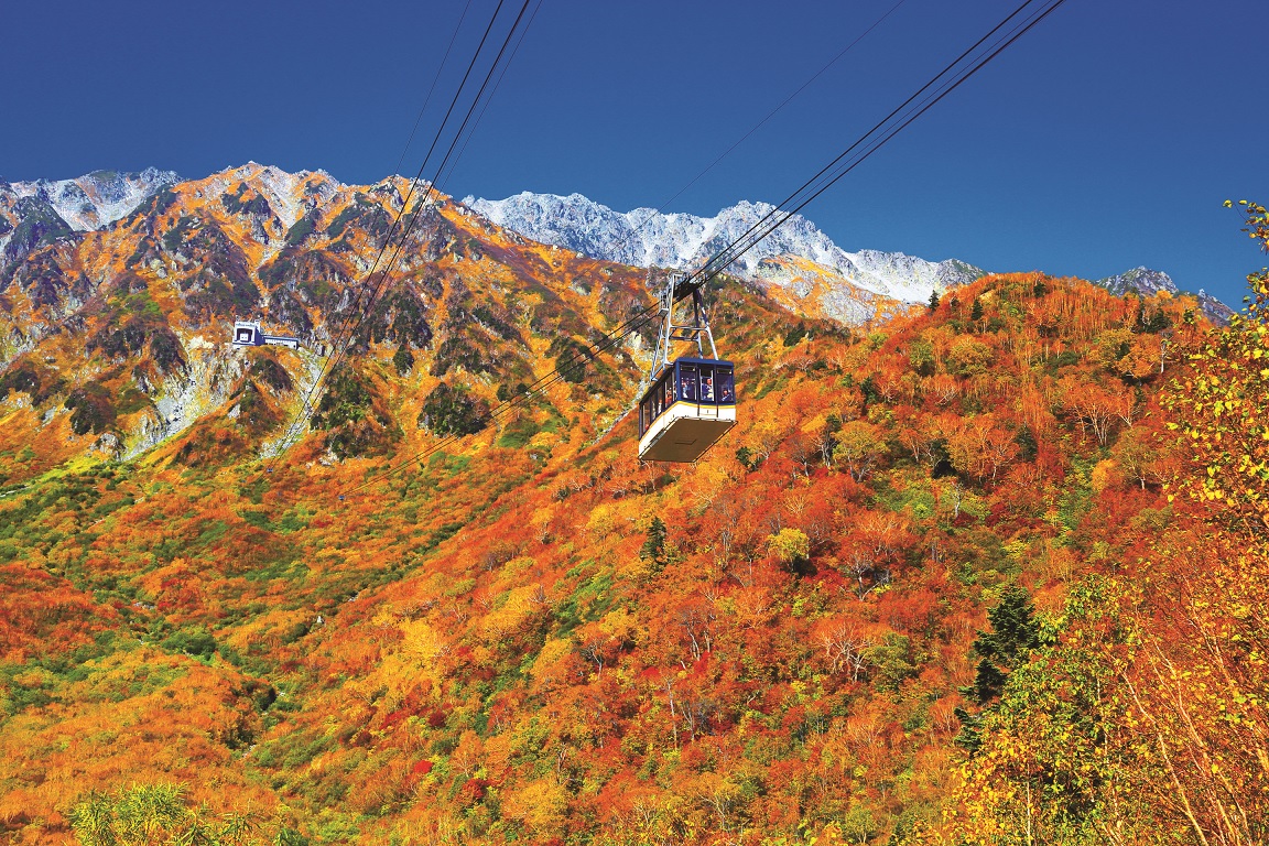 立山黒部貫光 立山黒部アルペンルート 片道乗車券(1枚) 23.11.30迄