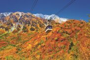 立山ロープウェイ紅葉の絶景飛行：10月上旬