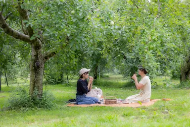 ピクニックランチを食べる