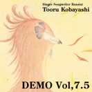 DEMO Vol,7.5ジャケット