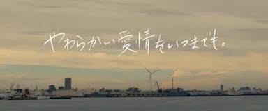 動画キャプチャ１０