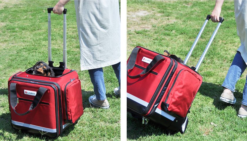 日常的なおでかけ等に使用でき、災害時でも活躍できる、 ペット用