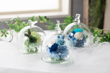 アニマルver.が新登場のガラスドーム