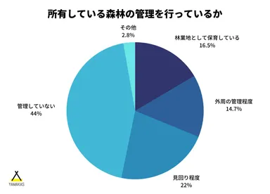 所有している山林の管理
