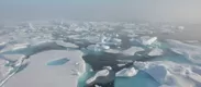 海氷の写真　ウェザーニューズ(C)