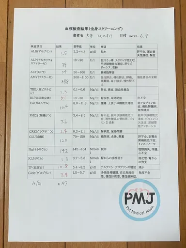 6月9日血液検査結果
