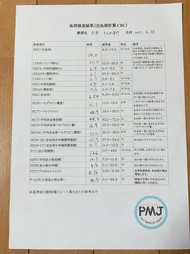 6月13日血液検査結果