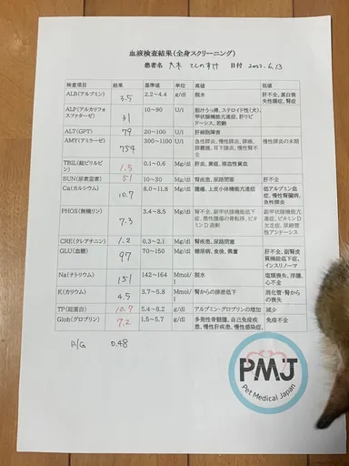 6月13日血液検査結果(全身スクリーニング)