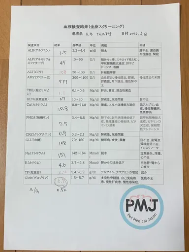 6月16日血液検査結果(全身スクリーニング)