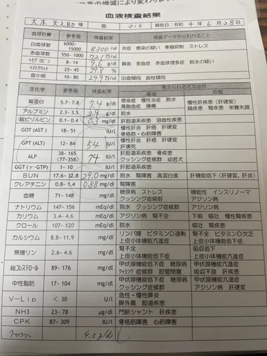 6月28日血液検査結果