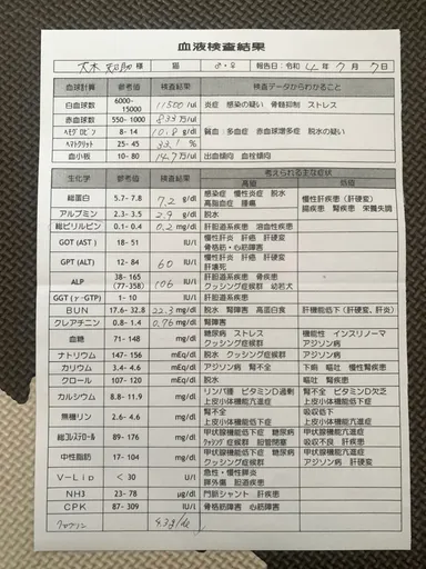 7月7日血液検査結果