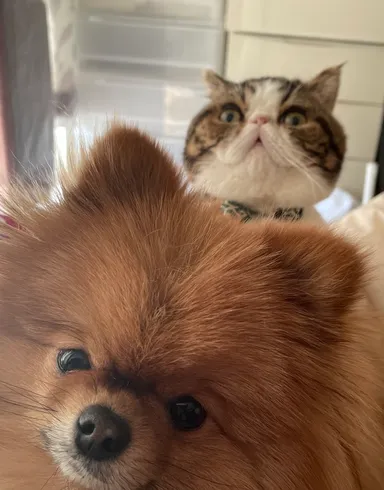 たろまるとてんのすけ(1)