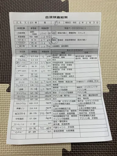 6月3日血液検査結果