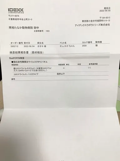 検査結果報告書
