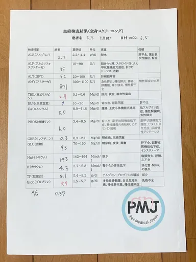 6月5日血液検査結果
