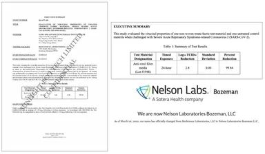 ネルソン検査結果