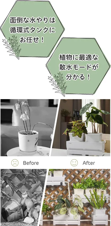 あなたの悩み「LePot」が解決します