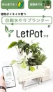 植物がイキイキ育つ自動水やりプランター「LetPot」