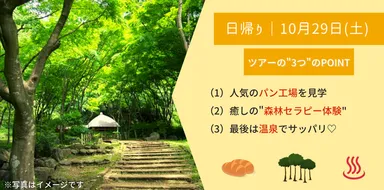 【自然を満喫】森林セラピー体験 in 厚木