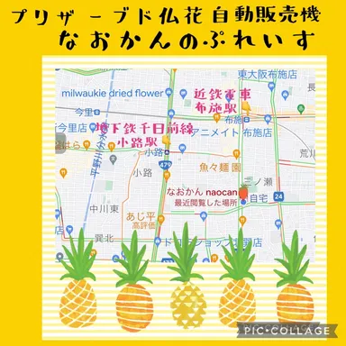 プリザーブド仏花自動販売機地図