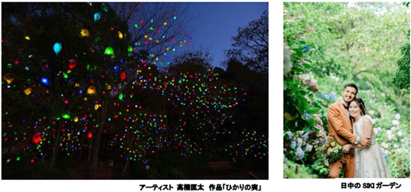 ROKKO森の音ミュージアム
「ウェディングフォトプラン」に秋限定フォトスポット登場
温かな光のアートに包まれて、特別なウェディングフォトを