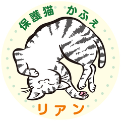 保護猫かふぇリアン