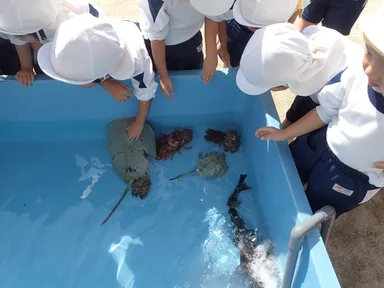 巡回水族館風景1