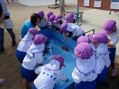 巡回水族館風景2