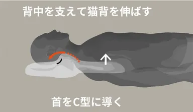 ゴッチョ背まくら4