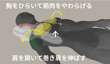 ゴッチョ背まくら5