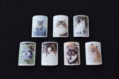 フォトプレート例