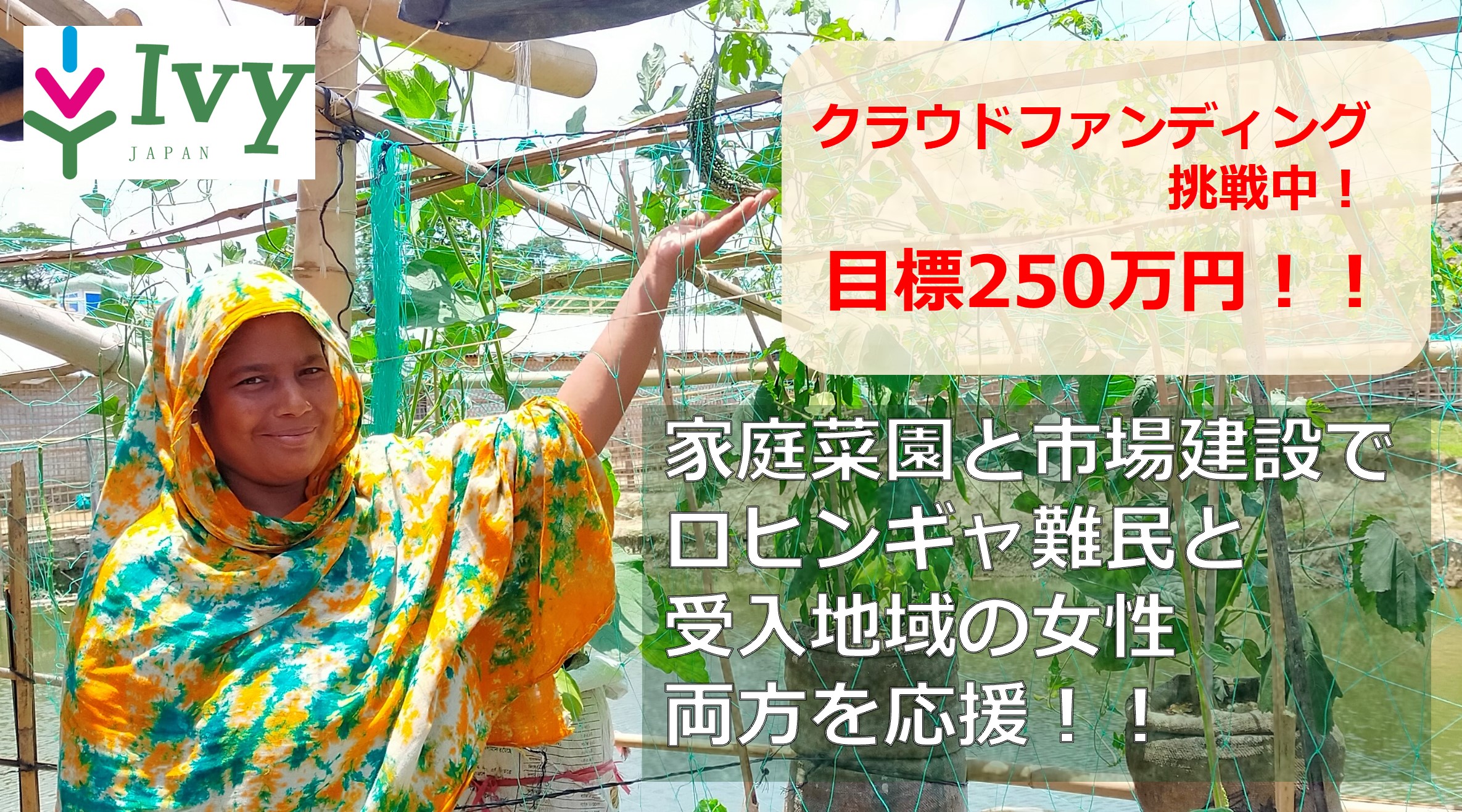 家庭菜園と市場建設で、ロヒンギャ難民と受け入れ地域を応援！
2022年8月1日(月)からクラウドファンディング開始 – Net24