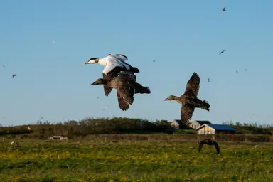 ISHITAYA眠りの体験会 メインビジュアル