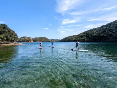 透明度が高い海