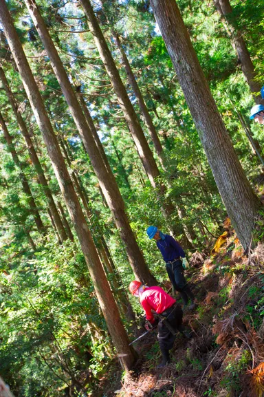 森の未来を訪ねる旅