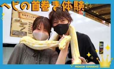 ヘビの首巻き体験