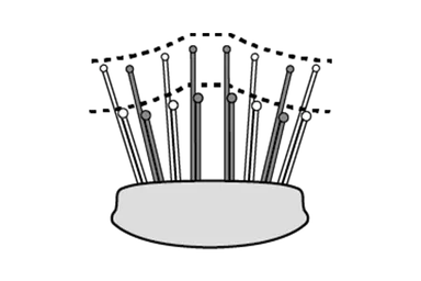 頭皮の丸みにぴったりフィットする、特許取得の頭皮密着設計で、どこからブラッシングしてもしっかりキレイに汚れを落とすことが可能