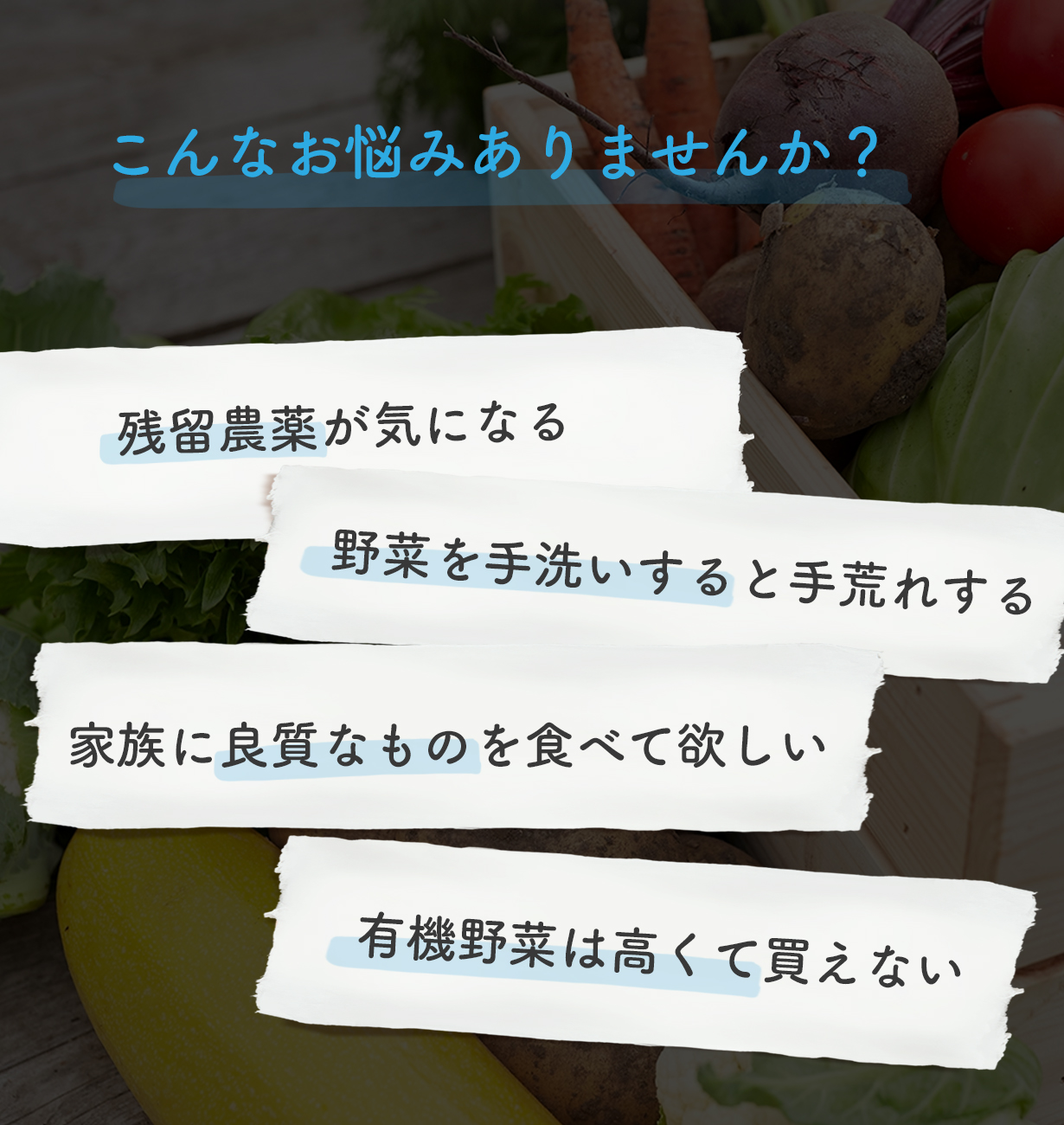 農薬大国に救世主！水だけで残留農薬、細菌を落とす最新鋭の食品洗浄器